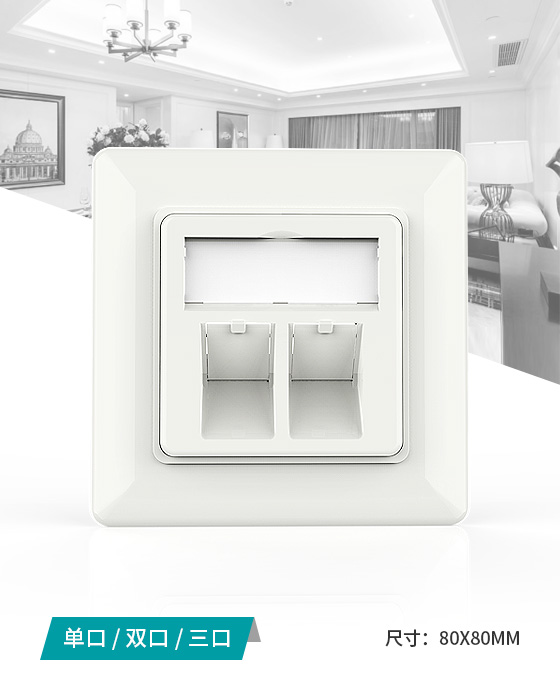 80型-網(wǎng)絡面板,電腦插座